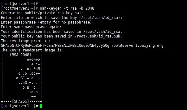 Linux如何设置ssh密钥（免密）登录