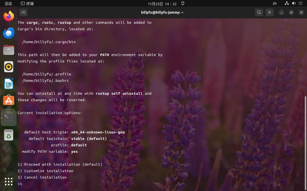 如何在Ubuntu中安装、更新和卸载Rust