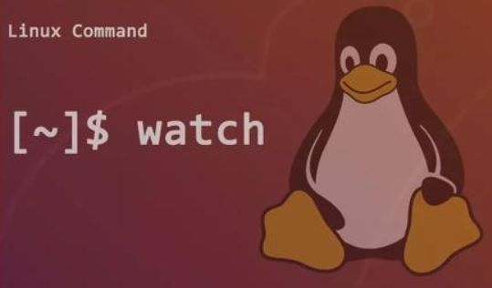 Linux watch命令及用法详解